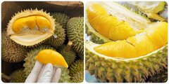 Được mệnh danh là ‘vua các loại trái cây’ nhưng sầu riêng đại kỵ với 6 người sau