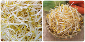 Giá đỗ có tác dụng gì?