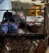 Hai người trong một gia đình bị thương sau tiếng súng nổ