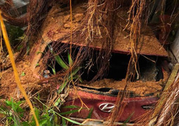 Sạt lở vùi lấp trạm CSGT trên đèo Bảo Lộc, nghi một số cán bộ mất tích