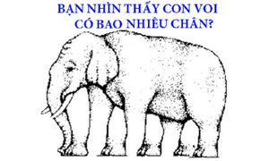 Câu đố đánh lừa thị giác: Con voi này có bao nhiêu chân?
