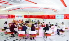 Lợi nhuận gần 5500 tỷ đồng, HDBank tiếp tục kế hoạch của ngân hàng bền vững