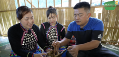 Sapa TV: Lựa chọn sống trọn vẹn trong từng điều bình dị