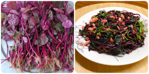 Rau dền mát bổ nhưng 3 nhóm người sau không nên ăn