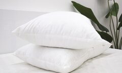 Sau bao lâu nên thay ruột gối một lần?