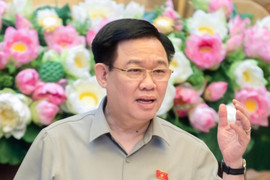 Chủ tịch Quốc hội: Luật Đất đai sửa đổi đang đi đúng hướng