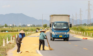 Phơi thóc trên đường gây mất an toàn giao thông có bị phạt không?