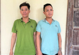 Bắt 2 kẻ ăn trộm hàng trăm gốc sâm Ngọc Linh