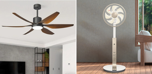 Quạt trần hay quạt cây tốn điện hơn?