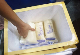 Xin sữa mẹ trên mạng, bác sĩ cảnh báo nguy cơ lây nhiễm mầm bệnh