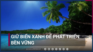 Giữ biển xanh để phát triển bền vững và chuyện người lặn biển nhặt rác ở Đà Nẵng