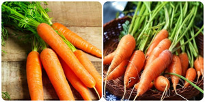 Cà rốt ngon, bổ nhưng lại 'đại kỵ' với 3 nhóm người này