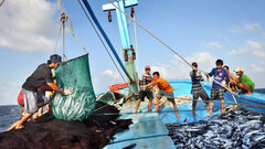 Mạnh giàu từ biển quê hương: Cùng ngư dân vươn khơi bám biển