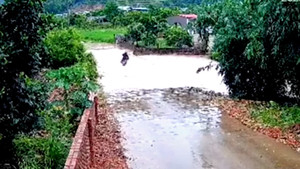 Liều mình vượt dòng nước lũ, người đàn ông suýt mất mạng