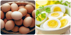 Ăn nhiều trứng có tốt không? 