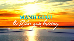 'Mạnh giàu từ biển quê hương': Những câu chuyện hấp dẫn lần đầu được kể