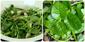 Rau mồng tơi rất tốt nhưng 'đại kỵ' với 5 nhóm người này