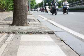 TP.HCM lý giải việc trám 'bê tông thấm nước' quanh gốc cây 