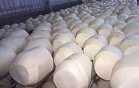 Mỹ cấp 'visa' cho quả dừa sọ, Việt Nam sắp có thêm trái cây tỷ USD