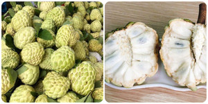 Những người không nên ăn na