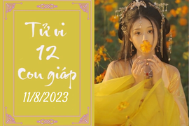 Tử vi vui 12 con giáp hôm nay ngày 11/8/2023: Tuất hạnh phúc, Dần chăm chỉ
