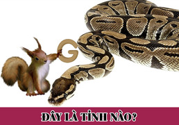 Đố bạn đoán được tên tỉnh này trong 5 giây