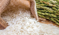 Giá lúa gạo hôm nay 12/8/2023: Giá gạo trong nước tiếp đà giảm