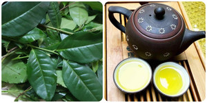 Chè xanh rất tốt nhưng lại ‘đại kỵ’ với những người này