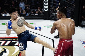 Master Of Fights Championship: Võ sỹ Nga thách đấu nhà vô địch Lion Championship