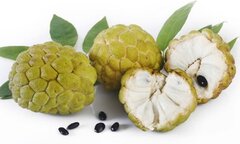 Ăn na lỡ nuốt hạt có bị ngộ độc không?