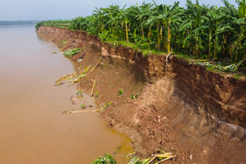 Phú Thọ: Sạt lở nghiêm trọng bờ sông Thao, hơn 1.000 hộ dân bị ảnh hưởng