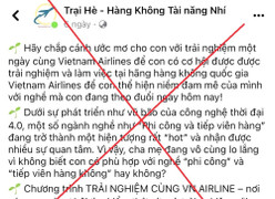 Dùng hình ảnh trái phép của Vietnam Airlines lừa một phụ nữ hơn 2,6 tỷ đồng