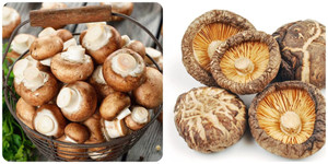 Bệnh gì không nên ăn nấm?