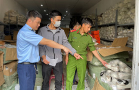 Bắt giữ lô hàng giả hơn 1,5 tỷ đồng ở Hải Phòng