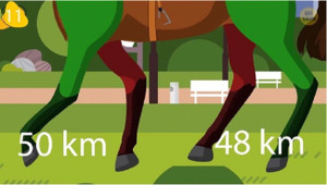 Phải cực kỳ thông minh mới biết vì sao con ngựa lại đi đứng kỳ lạ thế này