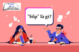 Từ điển Gen Z: 'Sốp', 'xốp' là gì?