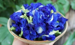 Hoa đậu biếc có thực sự giảm cân như lời đồn?