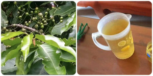 Nước vối có công dụng gì?