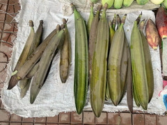 Lên Tây Bắc mùa này nhớ thử món nộm núc nác dân dã thơm ngon