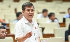 Viện trưởng Lê Minh Trí lần thứ 10 trả lời kỳ án gỗ trắc ở Quảng Trị