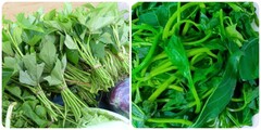 Rau lang có công dụng gì?