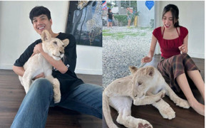 Hoa hậu Tiểu Vy vướng tin đồn hẹn hò tài tử Thái Lan - Nicky Nachat, ê-kíp nói gì?