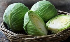 Tác dụng chữa bệnh bất ngờ của bắp cải