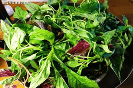 Ba loại rau mọc hoang ngoài vườn giúp bạn cộng thêm tuổi thọ, cả đời ít ốm đau