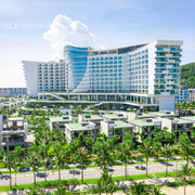 Đồi Rồng: Lời 'mách nước' cho bài toán tối ưu dòng vốn, an tâm dòng tiền, nhà đầu tư chắc ăn 