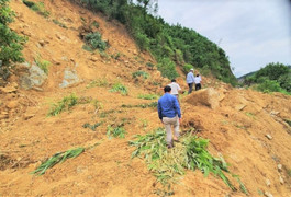 Quảng Nam kiểm soát chặt việc xây dựng nhà cửa ở khu vực địa hình sườn dốc