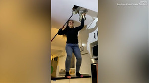 Cô gái dùng tay không bắt 2 con trăn trên trần nhà