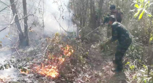 Gần 10 hecta rừng keo ở Quảng Ngãi chìm trong biển lửa hơn 3 tiếng đồng hồ