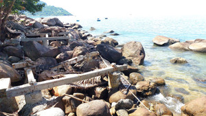 Đà Nẵng tổng dọn vệ sinh bãi biển Sơn Trà sau cưỡng chế công trình trái phép