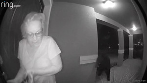 Giây phút cụ bà đối mặt gấu hoang trước cửa nhà